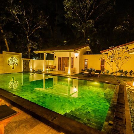 Tree Of Life Resort 벤토타 외부 사진