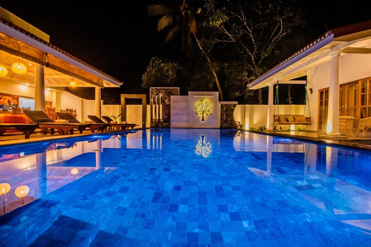 Tree Of Life Resort 벤토타 외부 사진